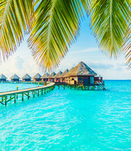 Maldive